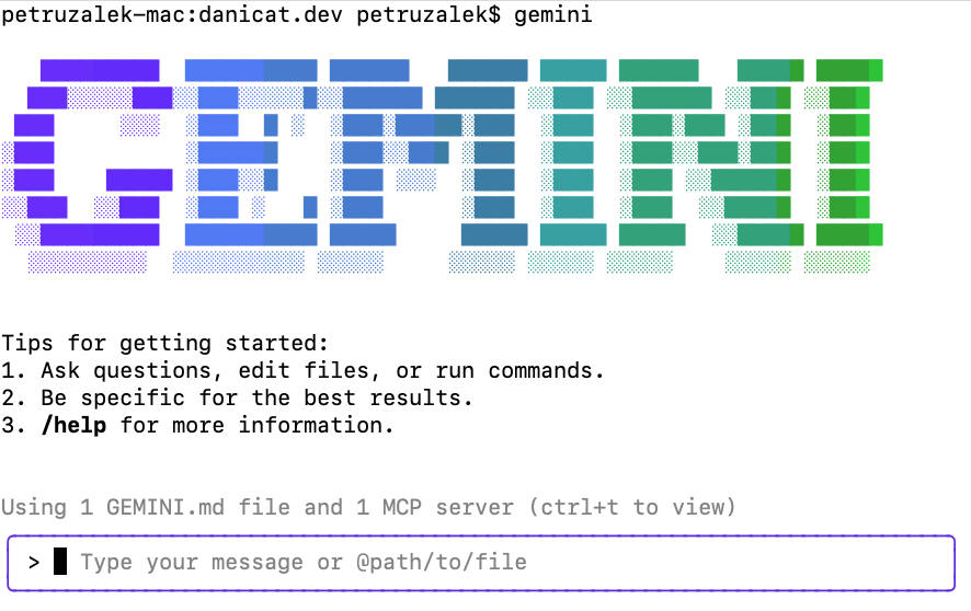 Gemini CLI boot screen