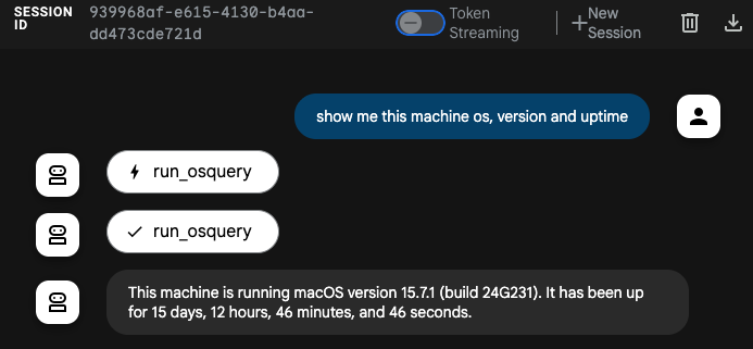 “ADK UI with the query ‘show me this machine os, version and uptime’”