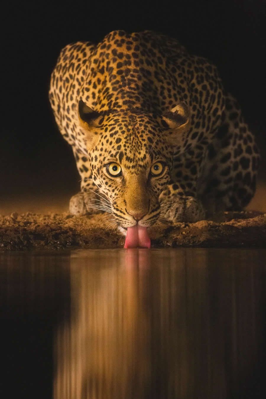 Eyes of the Night by Jade Gosrani
