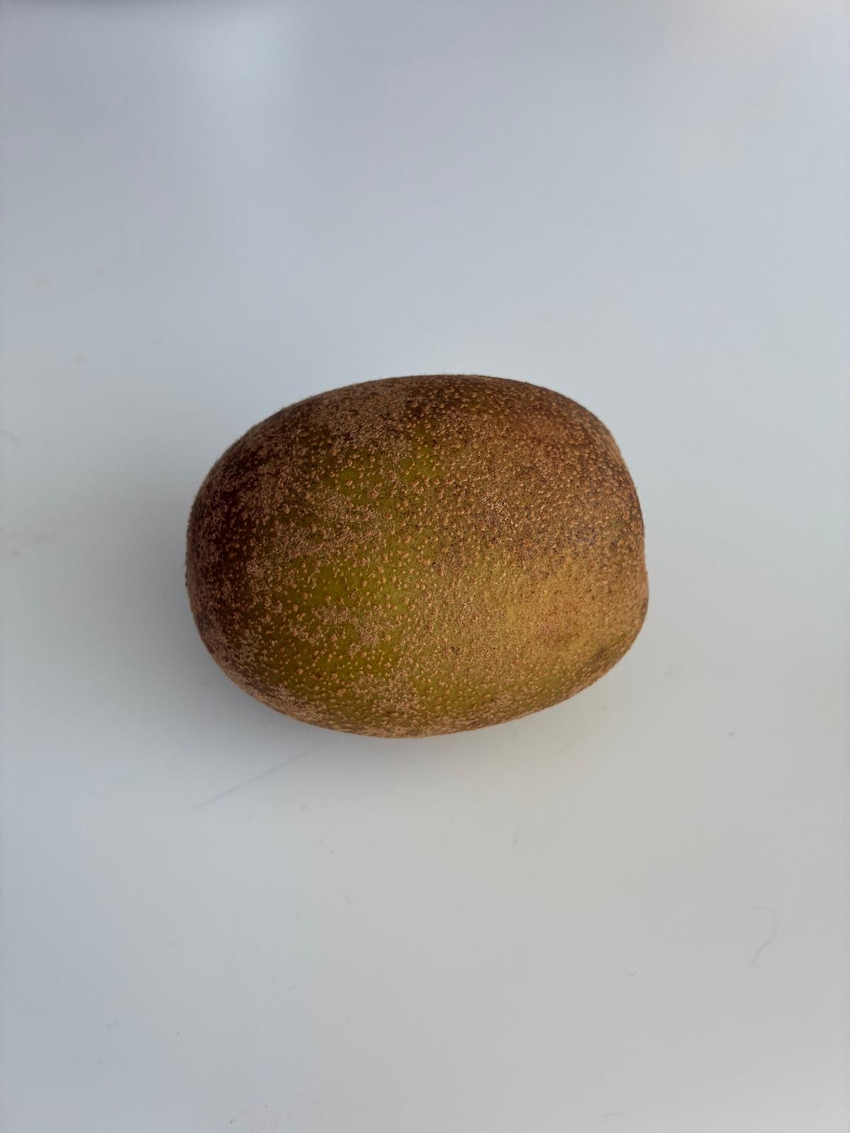 Forgotten Kiwi