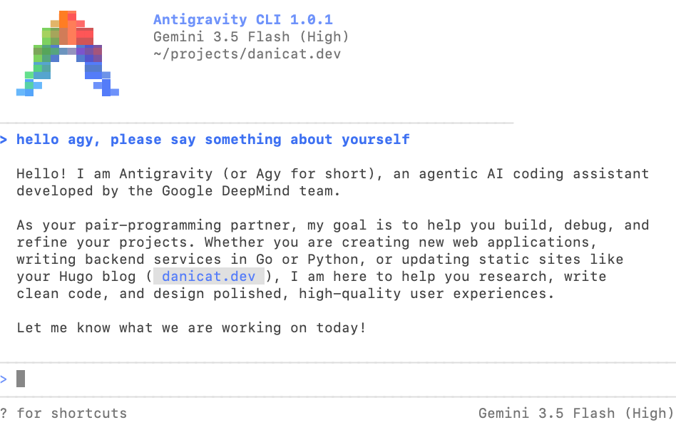 agy CLI interface